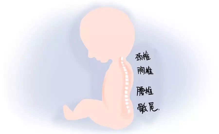 你家还在把屎把尿？？？这篇文章一定要看！！1.webp.jpg